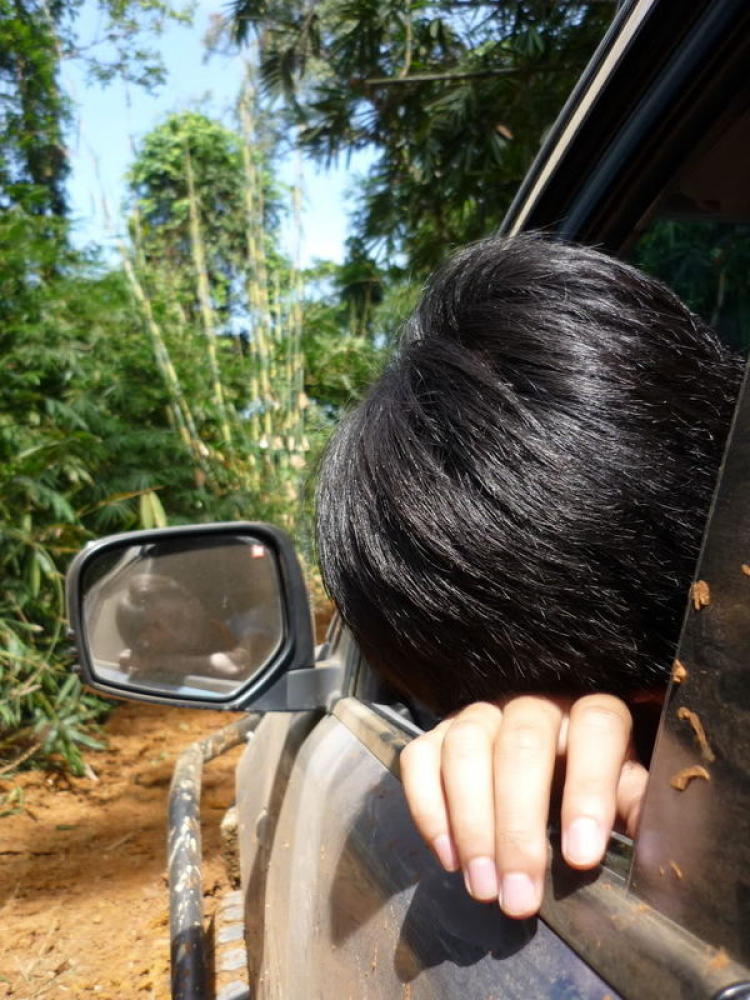 Ảnh hành trình Off-Road chinh phục Đỉnh Con Ó - Đạ Tẻh Ảnh hành trình Off-Road chinh phục Đỉnh Con Ó - Đạ Tẻh
