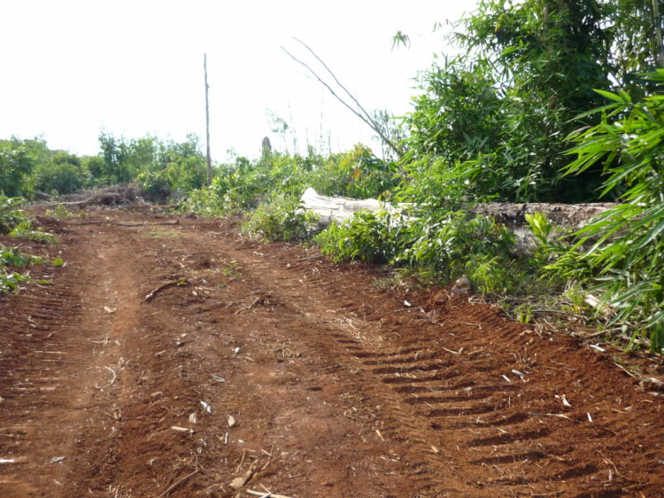 Ảnh hành trình Off-Road chinh phục Đỉnh Con Ó - Đạ Tẻh