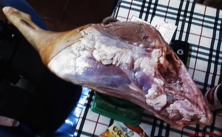 Chi Hội S.O.S-NƠI ĐĂNG KÝ THÀNH VIÊN. Chi Hội S.O.S-NƠI ĐĂNG KÝ THÀNH VIÊN.