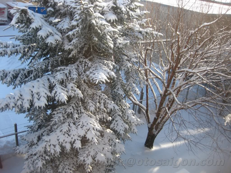 Một góc nhìn nhỏ về cuộc sống Canada. Một góc nhìn nhỏ về cuộc sống Canada.