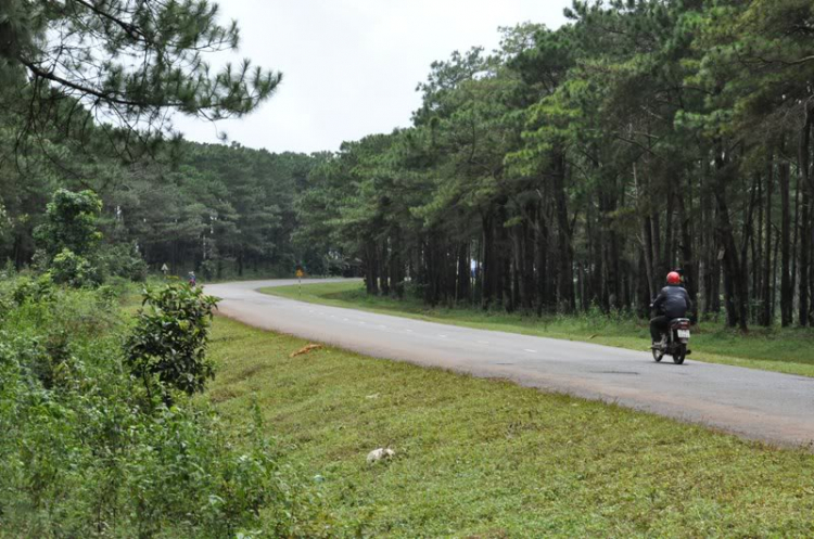 Tour tết HCM - Dak Nông - Nha Trang - Đà Lạt - HCM, xin góp ý