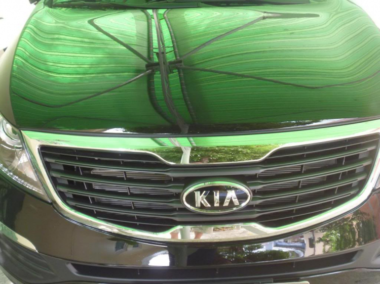 Phân vân Kia sportage vs Ford escape,cuối cùng e đã chọn Sportage(hình ảnh trang 3) Phân vân Kia sportage vs Ford escape,cuối cùng e đã chọn Sportage(hình ảnh trang 3)