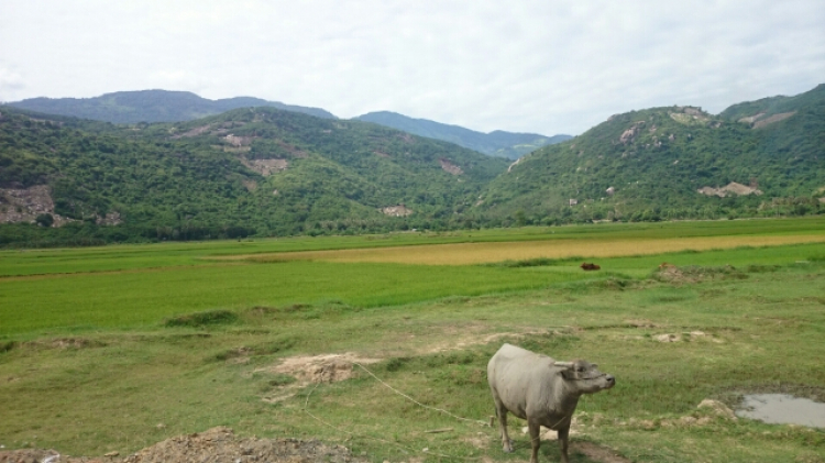 957,000 đồng/575km 957,000 đồng/575km