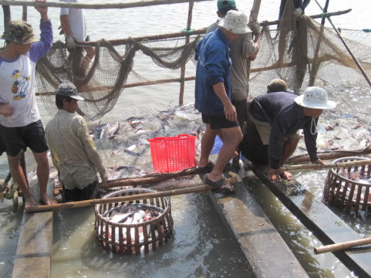 OS-XNL Hình ảnh phượt Bụi Cambodia 2011