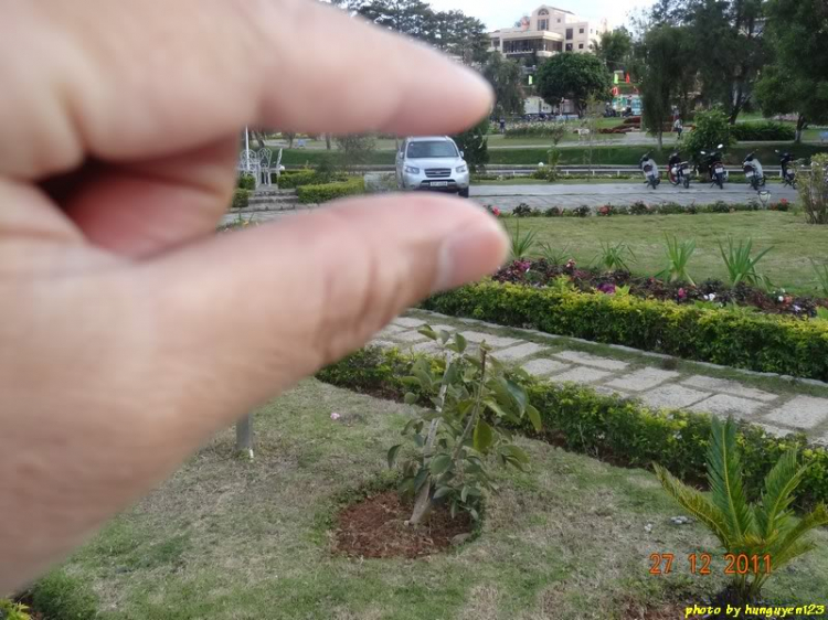SFC trốn hết đâu rồi nhỉ? SFC trốn hết đâu rồi nhỉ?