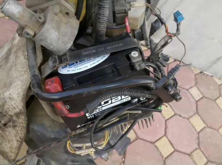 Suzuki EPICURO & AVENIS (Những điểm cần biết) Suzuki EPICURO & AVENIS (Những điểm cần biết)