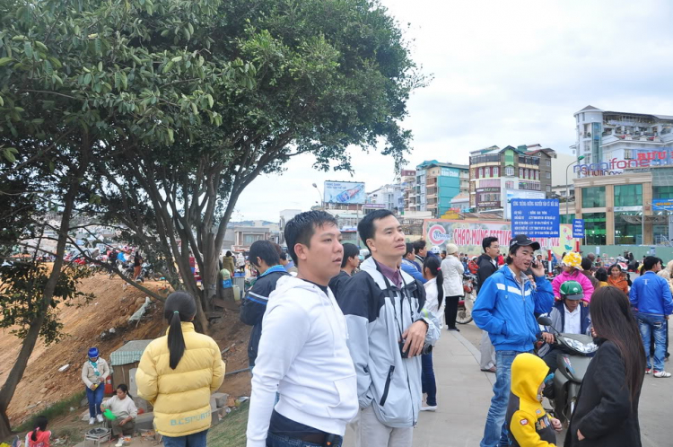 Hình ảnh MAFC đón năm mới 2012 tại Festival Đà Lạt.