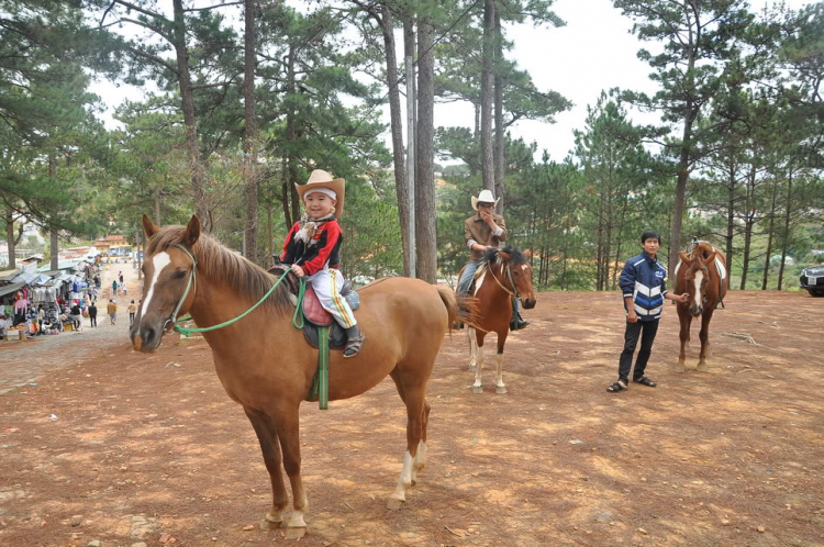 Hình ảnh MAFC đón năm mới 2012 tại Festival Đà Lạt.