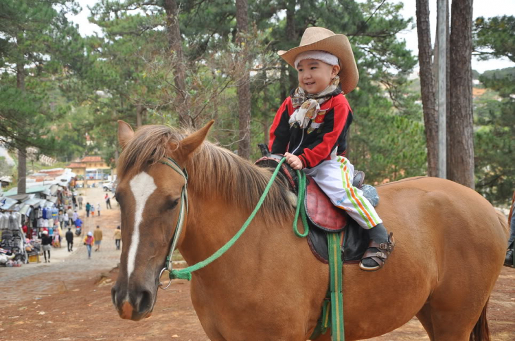 Hình ảnh MAFC đón năm mới 2012 tại Festival Đà Lạt.