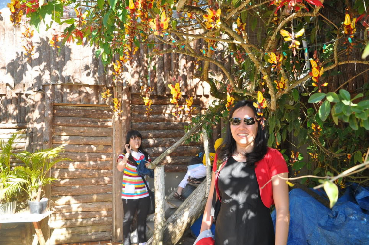 Hình ảnh MAFC đón năm mới 2012 tại Festival Đà Lạt. Hình ảnh MAFC đón năm mới 2012 tại Festival Đà Lạt.