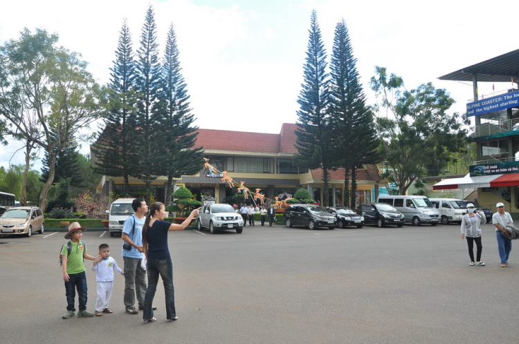 Hình ảnh MAFC đón năm mới 2012 tại Festival Đà Lạt.