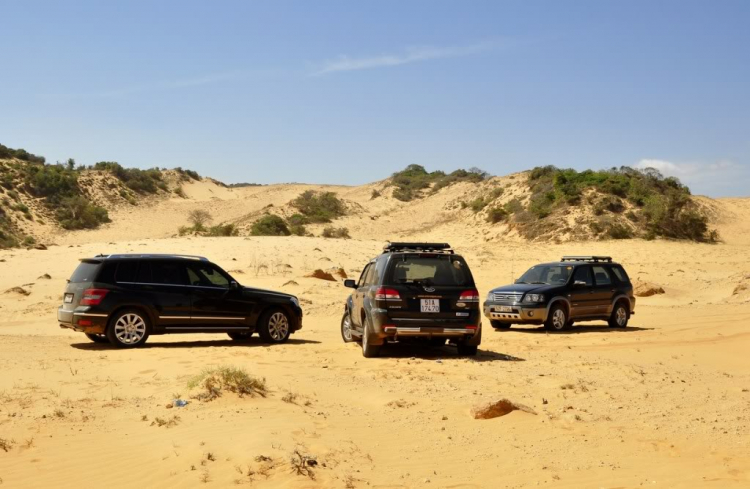 Hình ảnh đón chào năm mới tại Mũi Né - Phan Thiết & Bình Châu.