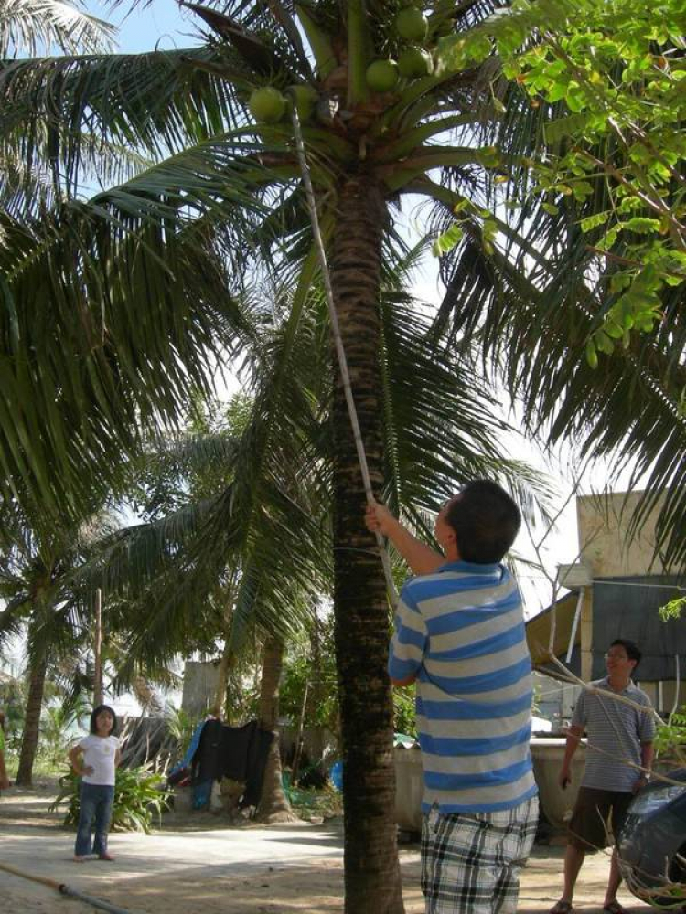 Vài hình ảnh chuyến tuor thường niên cuối năm của MFC!! Vài hình ảnh chuyến tuor thường niên cuối năm của MFC!!