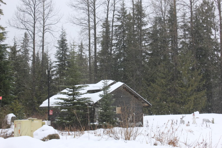 Một góc nhìn nhỏ về cuộc sống Canada.