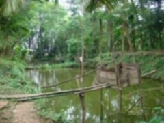 Những hình ảnh thời bao cấp Những hình ảnh thời bao cấp