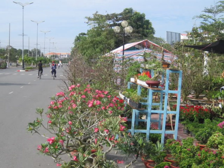 Sắc xuân - trên những nẻo đường