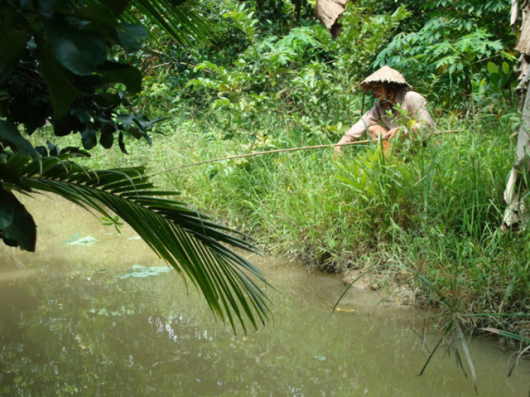 Miệt vườn Miệt vườn