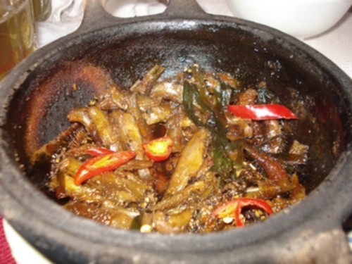Miệt vườn Miệt vườn