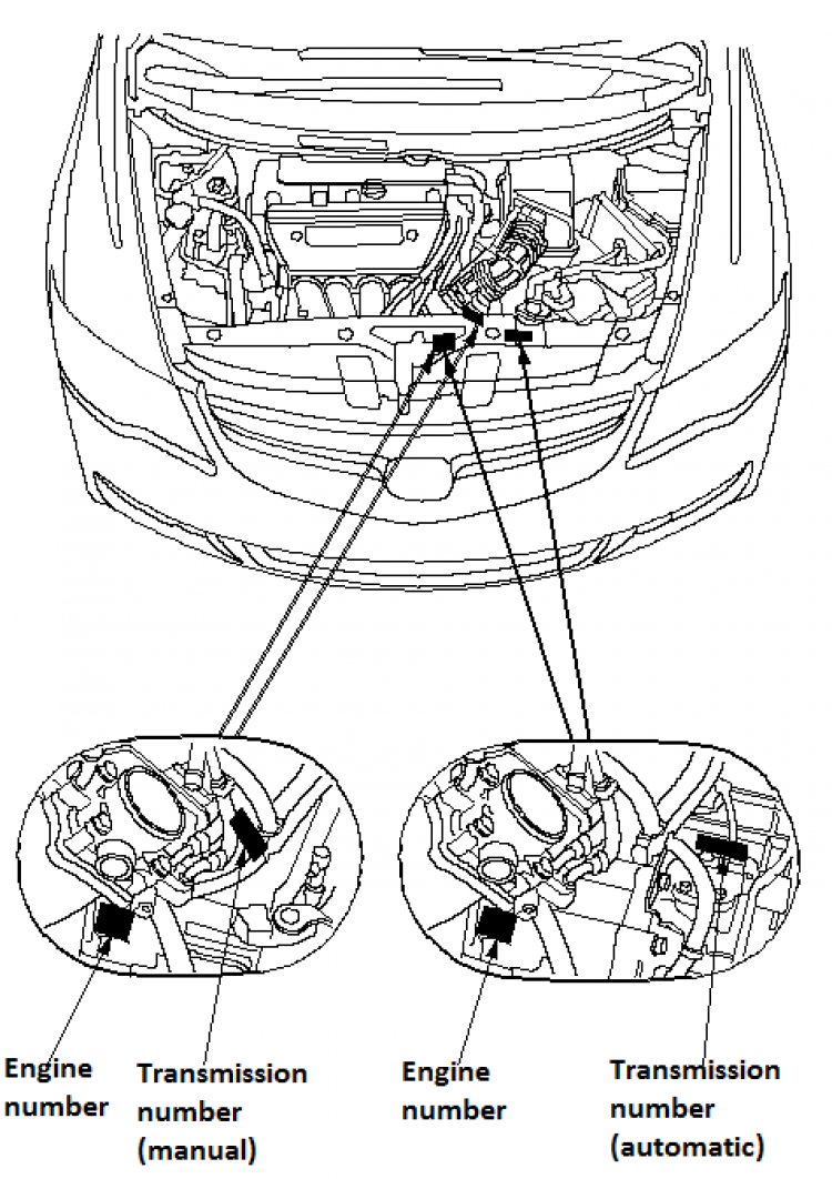 Thớt Civic