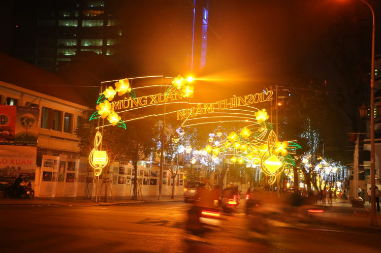 Lấp lánh lung linh hoa đăng xuân SaiGon 2012