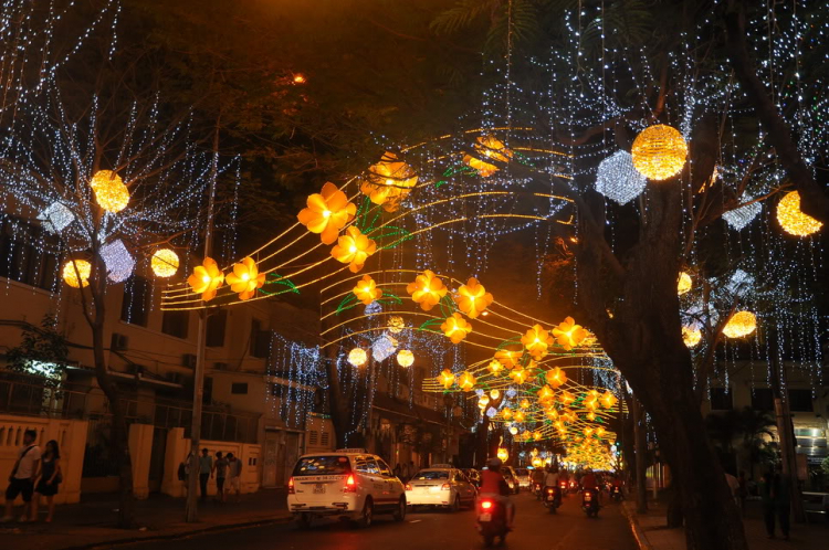 Lấp lánh lung linh hoa đăng xuân SaiGon 2012