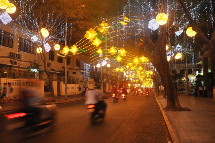 Lấp lánh lung linh hoa đăng xuân SaiGon 2012