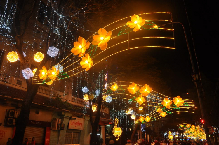 Lấp lánh lung linh hoa đăng xuân SaiGon 2012