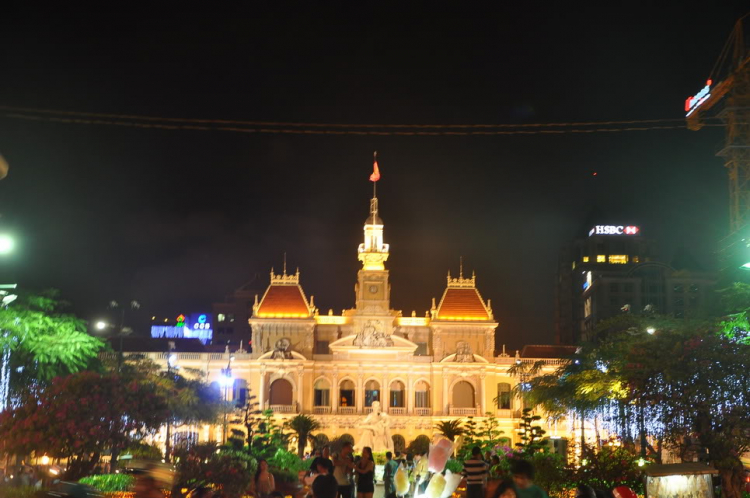 Lấp lánh lung linh hoa đăng xuân SaiGon 2012