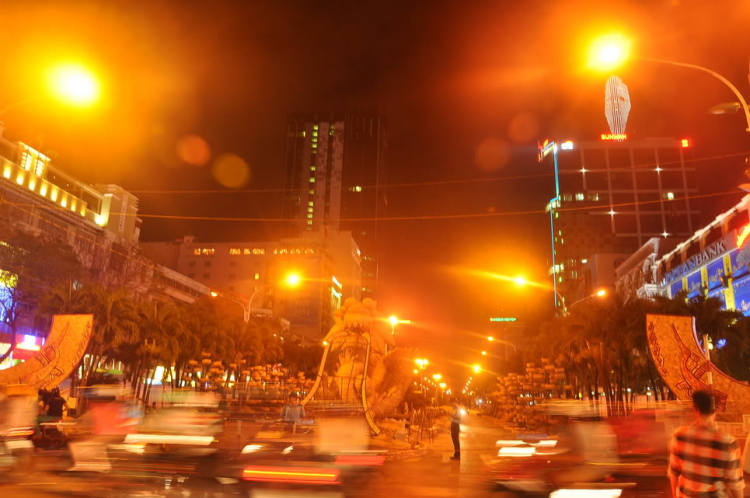 Lấp lánh lung linh hoa đăng xuân SaiGon 2012