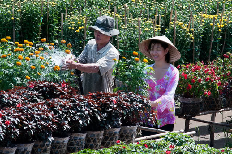 Một góc nhìn nhỏ về cuộc sống Canada. Một góc nhìn nhỏ về cuộc sống Canada.