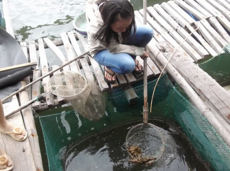 Chuyến đi nhớ đời. Chuyến đi nhớ đời.