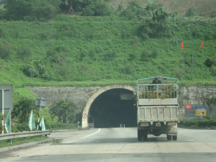 Về quê ăn Tết - tập hợp những hình ảnh trên mọi nẻo đường