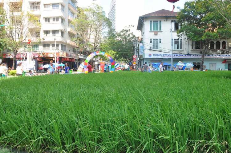 Hội Hoa xuân SaiGon - Nhâm Thìn 2012 (28 & 29 Tết)