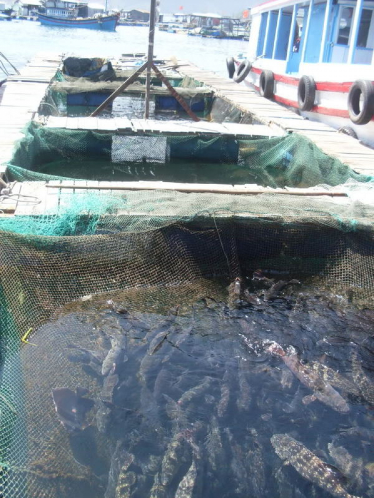 KHÁM PHÁ CÁC HÒN ĐẢO CỦA NHA TRANG VÀO NHỮNG NGÀY XUÂN !!!! HỒI HỘP!HEEEEE KHÁM PHÁ CÁC HÒN ĐẢO CỦA NHA TRANG VÀO NHỮNG NGÀY XUÂN !!!! HỒI HỘP!HEEEEE
