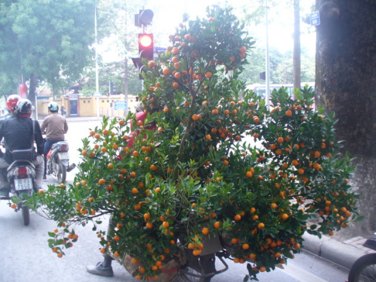 Hình ảnh Tết xưa Hình ảnh Tết xưa
