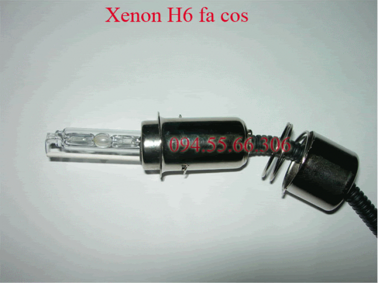 Matiz với đôi mắt thiên thần... Matiz với đôi mắt thiên thần...