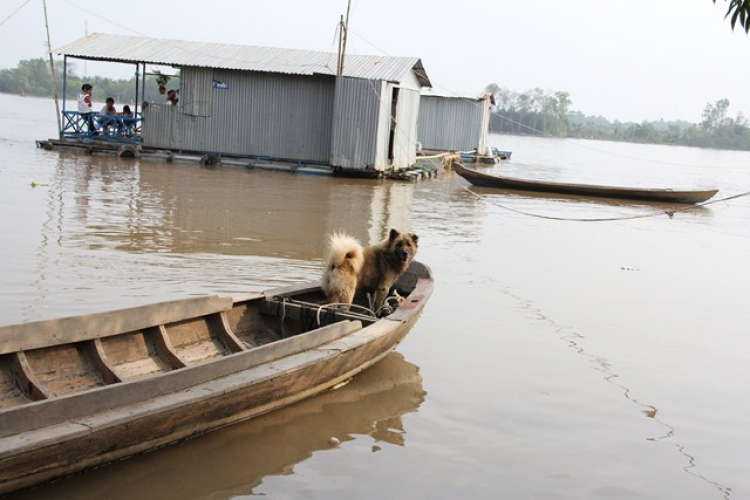 Hội đồng hương Mỹ Tho