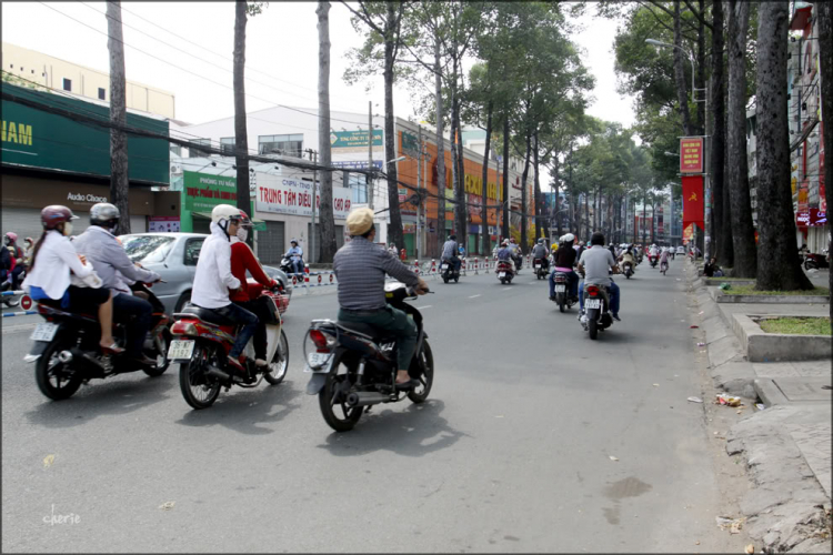 Ngày nào cũng Xuân, anh Thăng khỏi phải thu phí.. ảnh Sài Gòn mùng 1 Tết