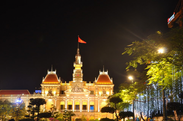 Lấp lánh lung linh hoa đăng xuân SaiGon 2012