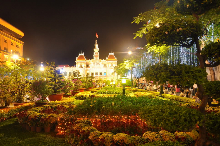 Lấp lánh lung linh hoa đăng xuân SaiGon 2012