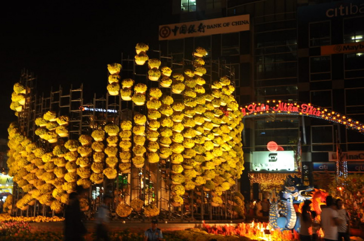 Lấp lánh lung linh hoa đăng xuân SaiGon 2012