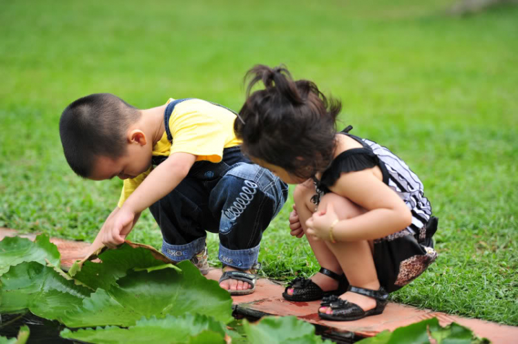 Một vài tấm ảnh...