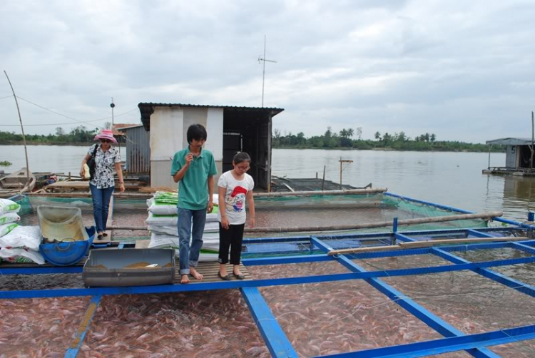 Vài hình ảnh Bac quangpham71 và em chơi Tết miền Tây.