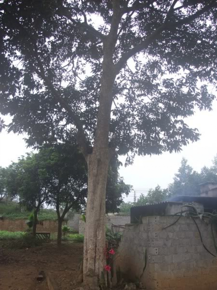Xuân Nhâm Thìn ăn chơi du ký Xuân Nhâm Thìn ăn chơi du ký