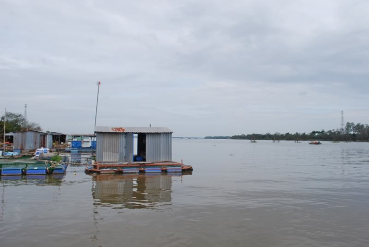 Vài hình ảnh Bac quangpham71 và em chơi Tết miền Tây. Vài hình ảnh Bac quangpham71 và em chơi Tết miền Tây.