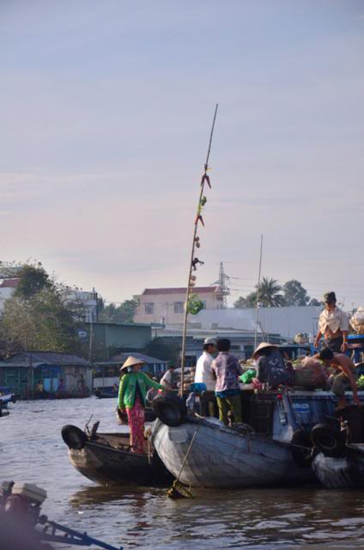 Du xuân miền Tây