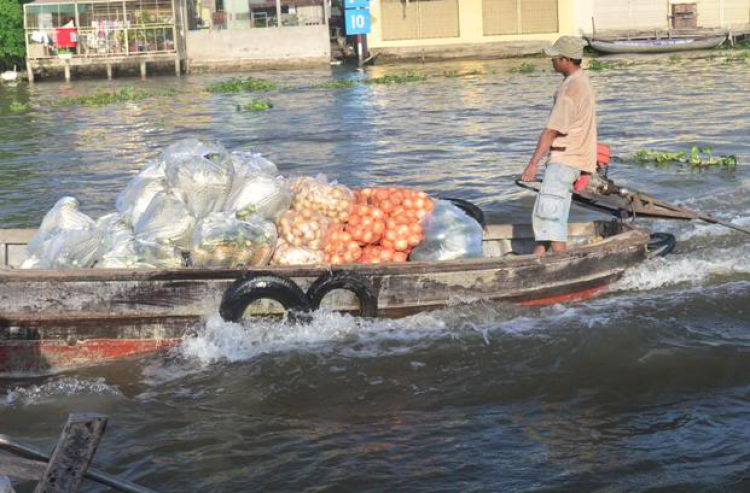 Du xuân miền Tây