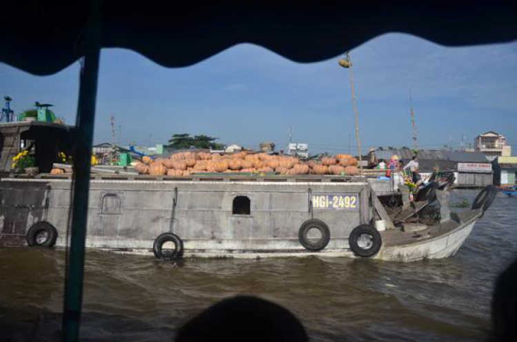 Du xuân miền Tây