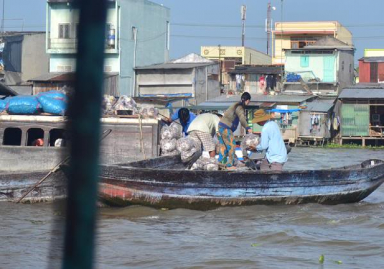 Du xuân miền Tây