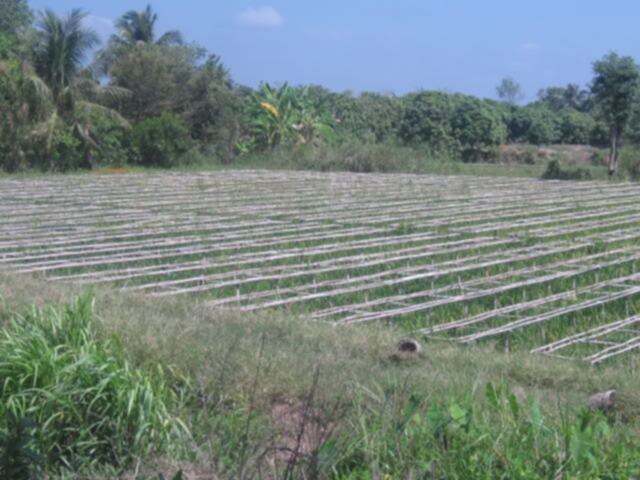 Sài Gòn - Châu Đốc hôm nay (02.01.2012) : cập nhật tình hình Sài Gòn - Châu Đốc hôm nay (02.01.2012) : cập nhật tình hình